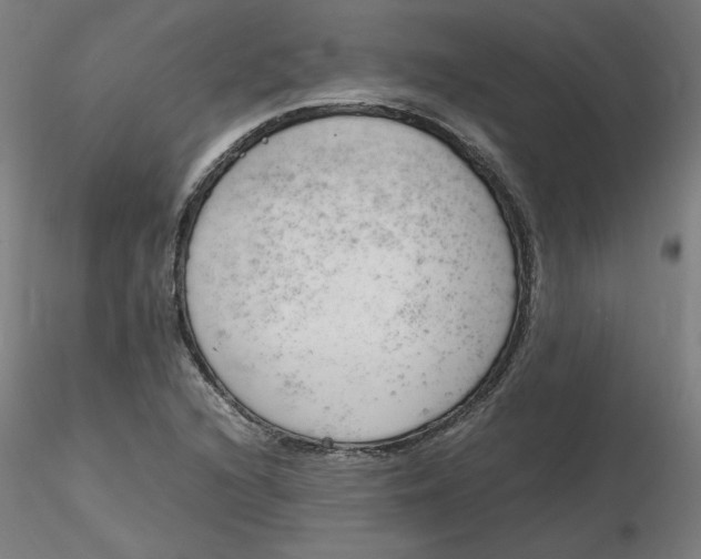 X0000116331216200912221413