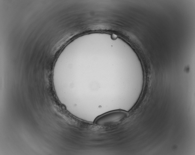 X0000116331217200912221413