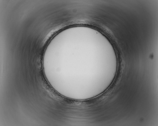 X0000116331218200912221413