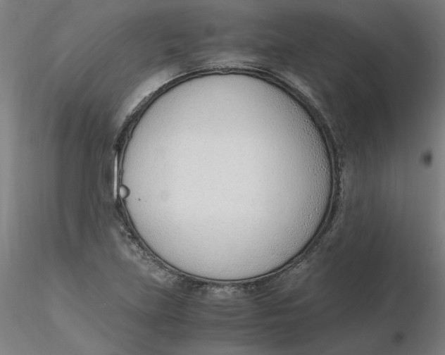 X0000116331219200912221413