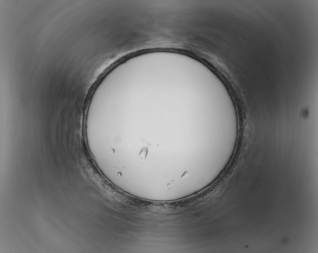 X0000116331220200912221413