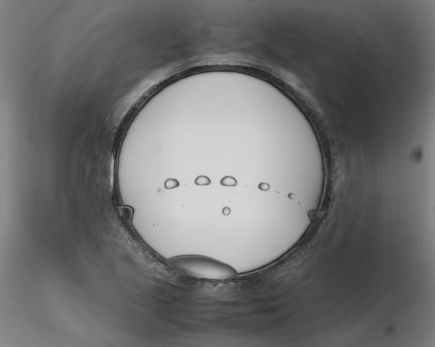 X0000116331221200912221413