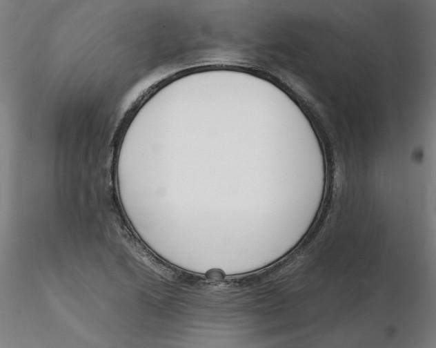 X0000116331222200912221413