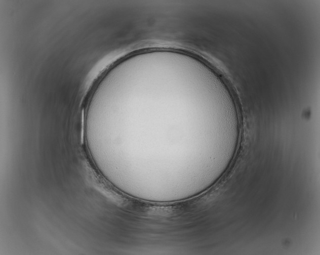 X0000116331223200912221413