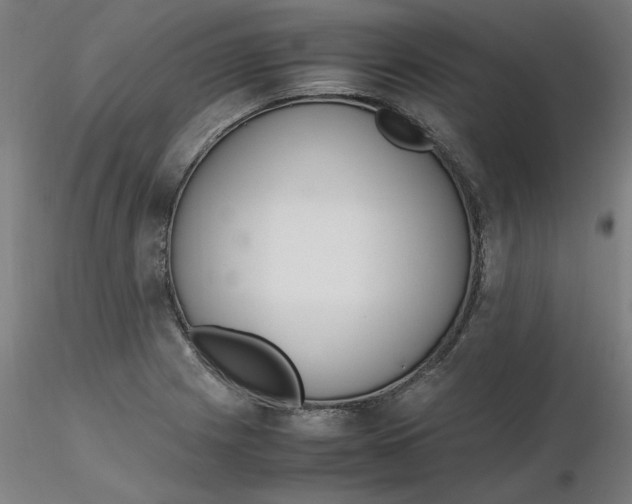 X0000116331225200912221413