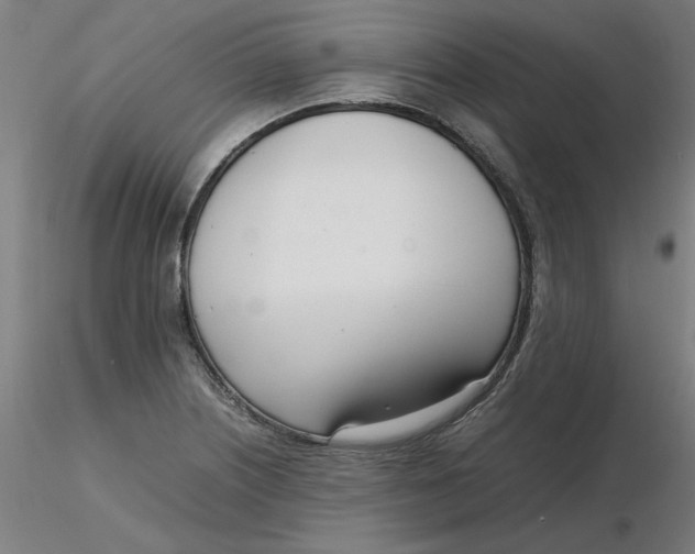 X0000116331226200912221413