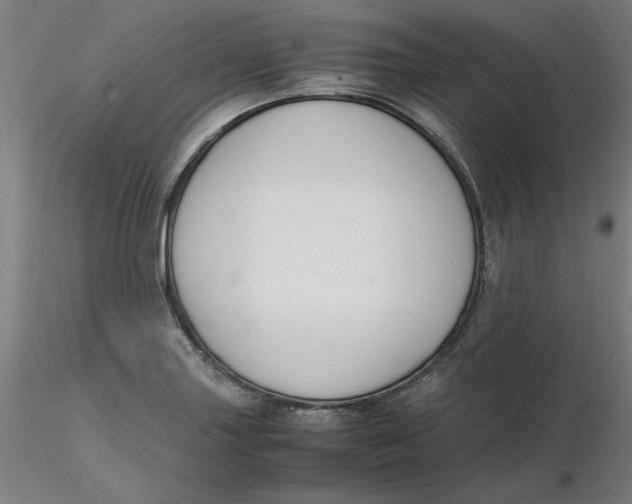 X0000116331227200912221413