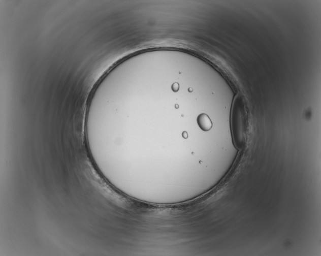 X0000116331228200912221413