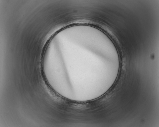 X0000116331229200912221413