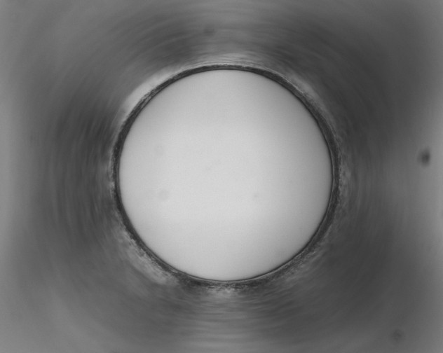 X0000116331230200912221413