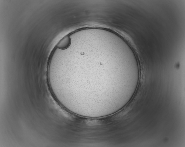 X0000116331231200912221413