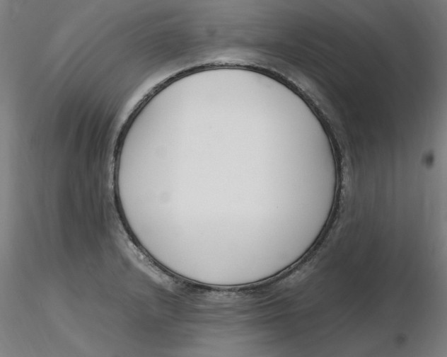 X0000116331232200912221413