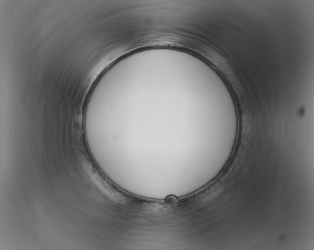 X0000116331234200912221413