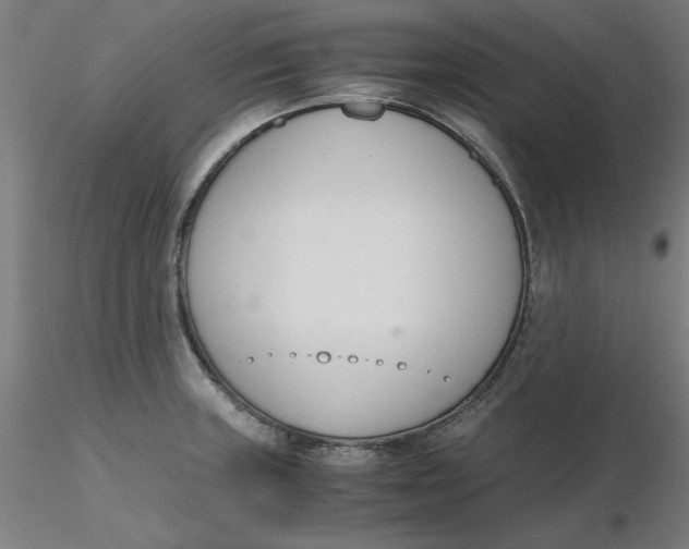 X0000116331235200912221413