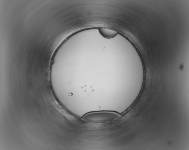 X0000116331236200912221413