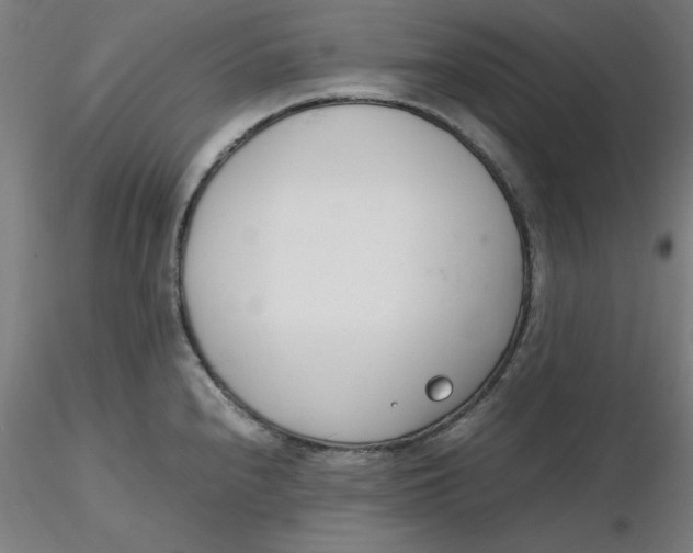 X0000116331240200912221413