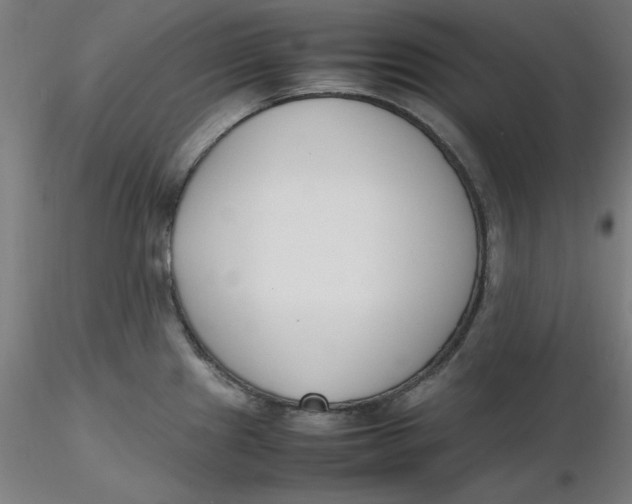 X0000116331241200912221413