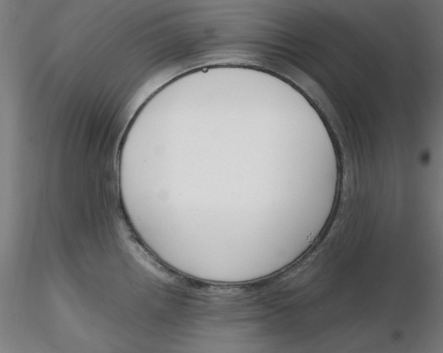 X0000116331242200912221413