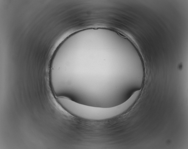 X0000116331243200912221413