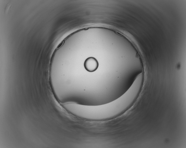 X0000116331244200912221413