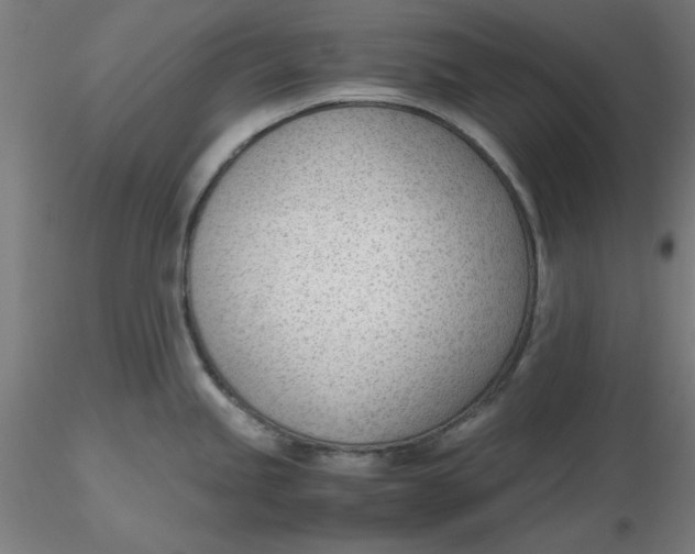 X0000116331245200912221413