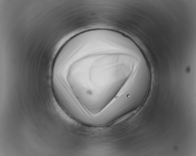 X0000116331246200912221413