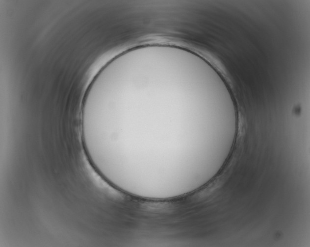 X0000116331247200912221413