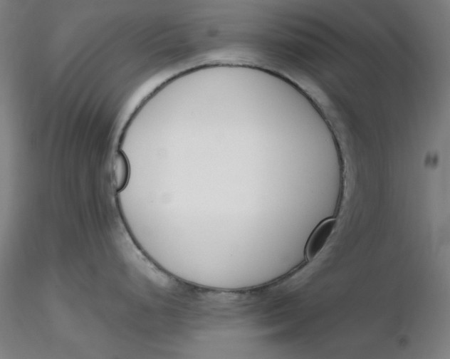 X0000116331248200912221413