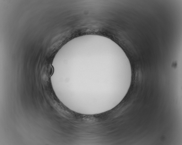 X0000116331250200912221413