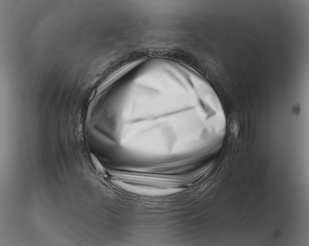 X0000116331252200912221412