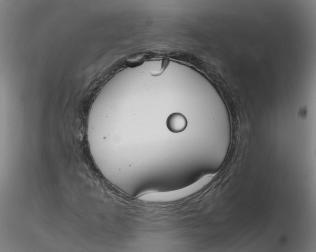 X0000116331253200912221412