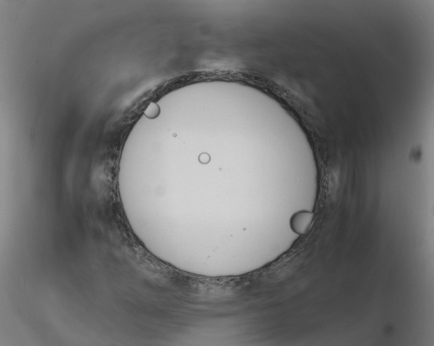 X0000116331254200912221412