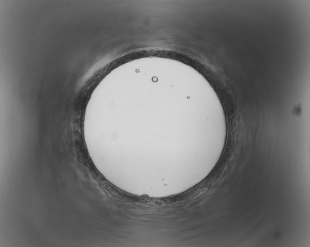 X0000116331255200912221412