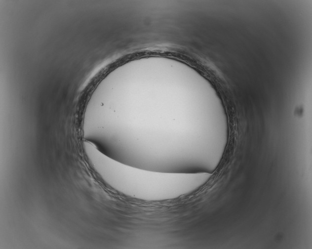 X0000116331256200912221412