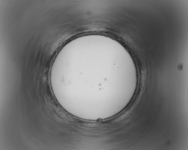 X0000116331257200912221412