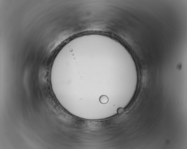 X0000116331258200912221412