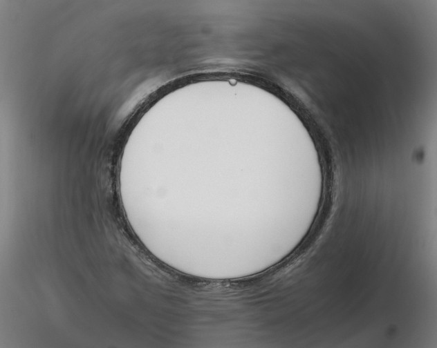 X0000116331259200912221412