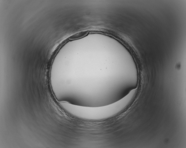 X0000116331260200912221412