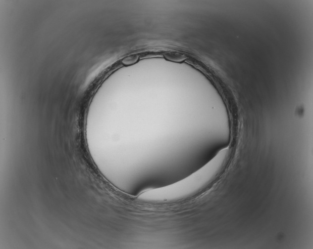 X0000116331261200912221412