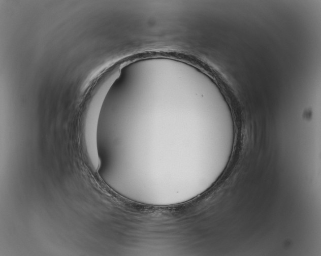 X0000116331262200912221412