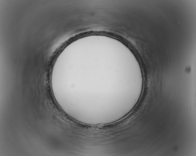 X0000116331263200912221412