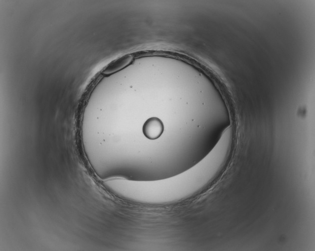 X0000116331264200912221412