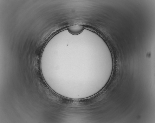 X0000116331265200912221412