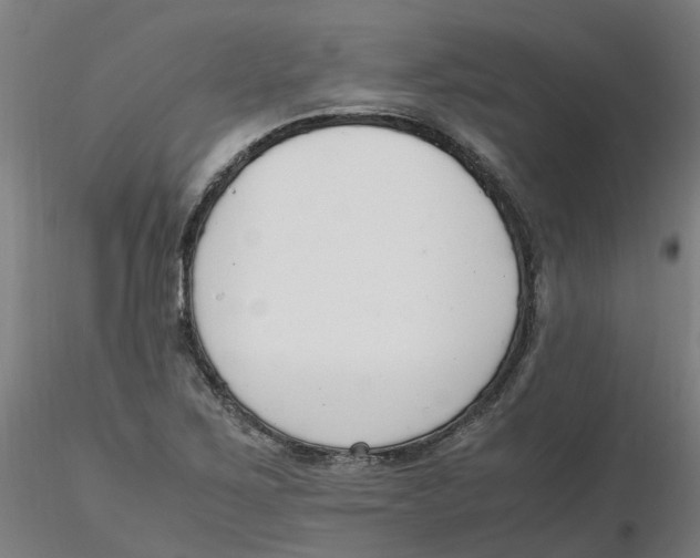 X0000116331267200912221412