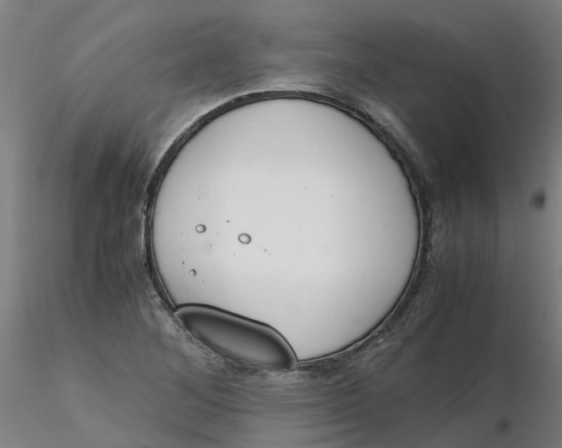 X0000116331268200912221412