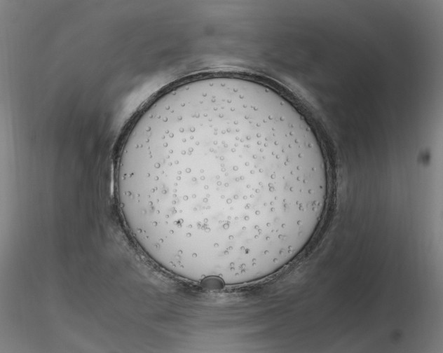 X0000116331269200912221412