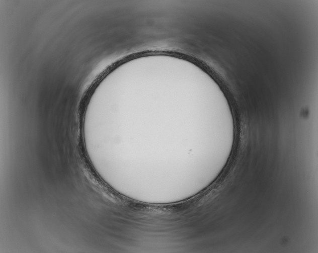 X0000116331270200912221412