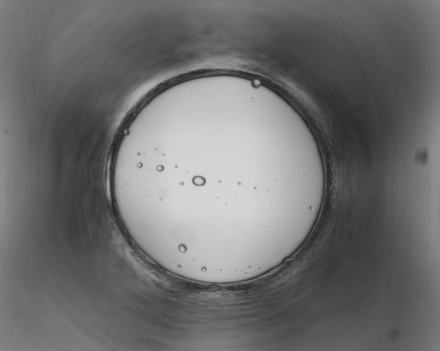 X0000116331272200912221412