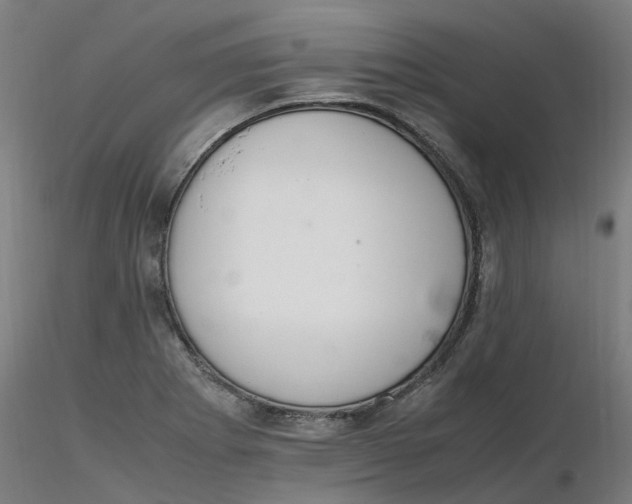 X0000116331273200912221412