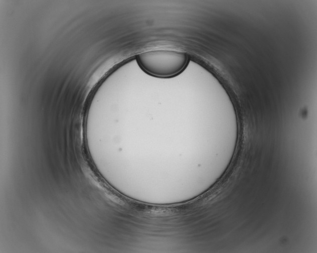 X0000116331274200912221412